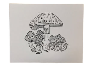 Magical Mushroom-w/Black Frame