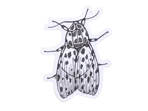 Lady Moth Sticker