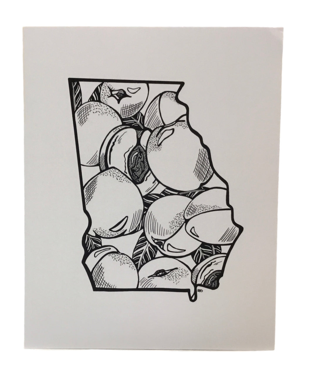 Georgia Peach Print-w/Black Frame