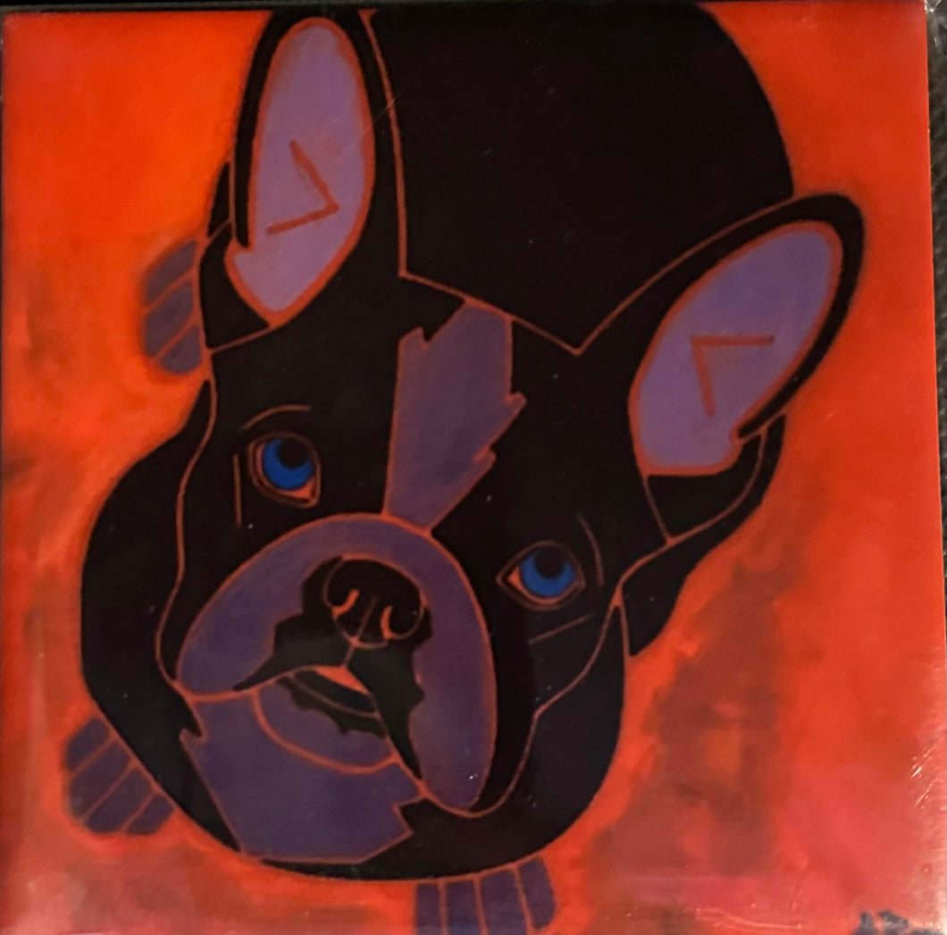 Boston Terrier Looking Up Coaster