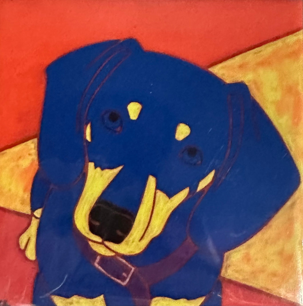 Dachshund Looking Up Coaster