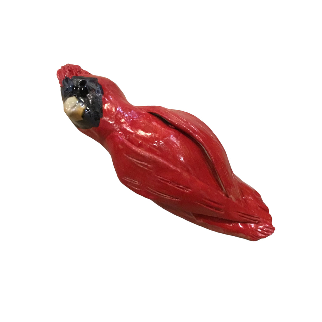 Male Cardinal