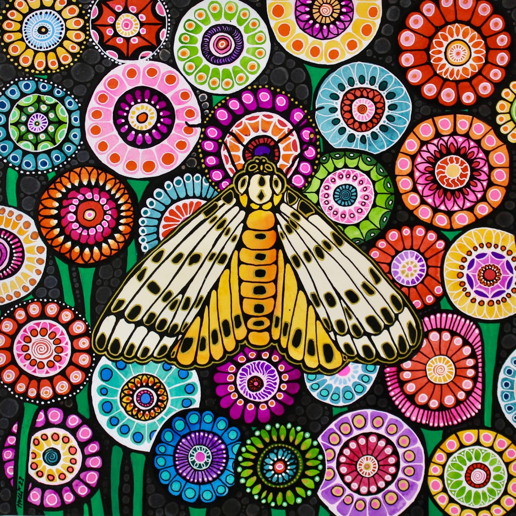 Yellow Tiger Moth