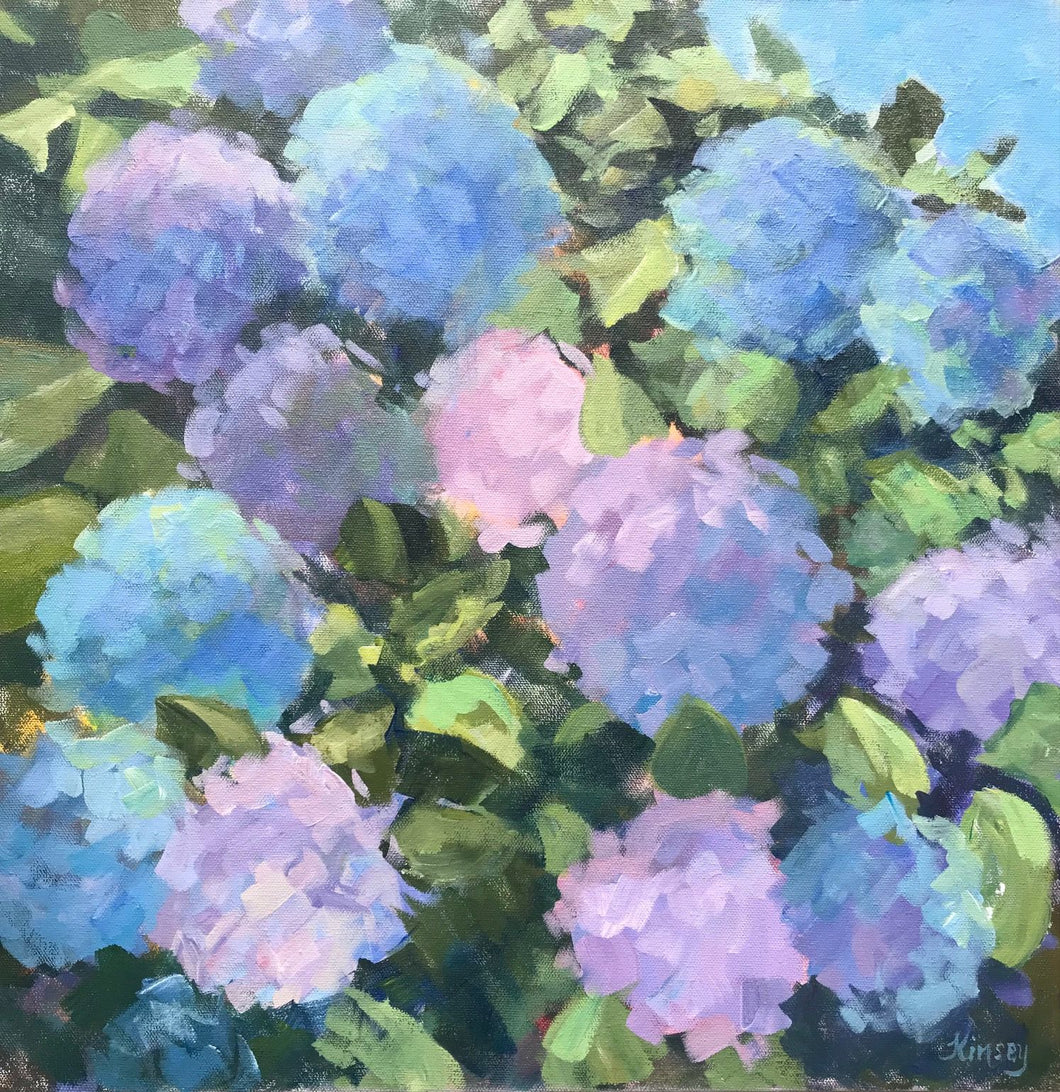 Hydrangea Hues