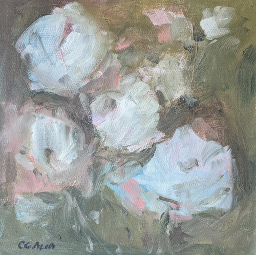 White Rose I1