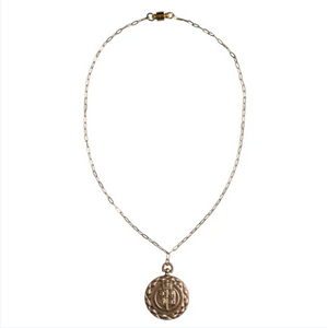 Paperclip Chain with Lion Coin