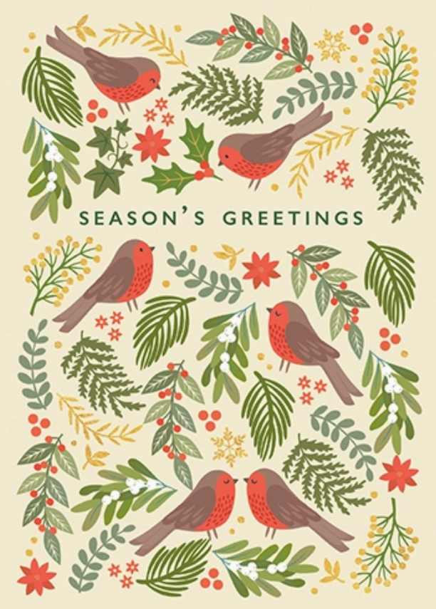 Robins - Holiday Boxed Greeting Cards