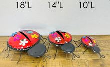 Lady Bugs