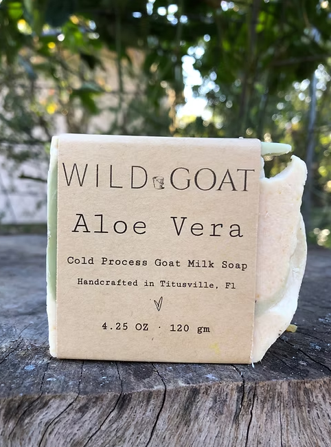 Aloe Vera