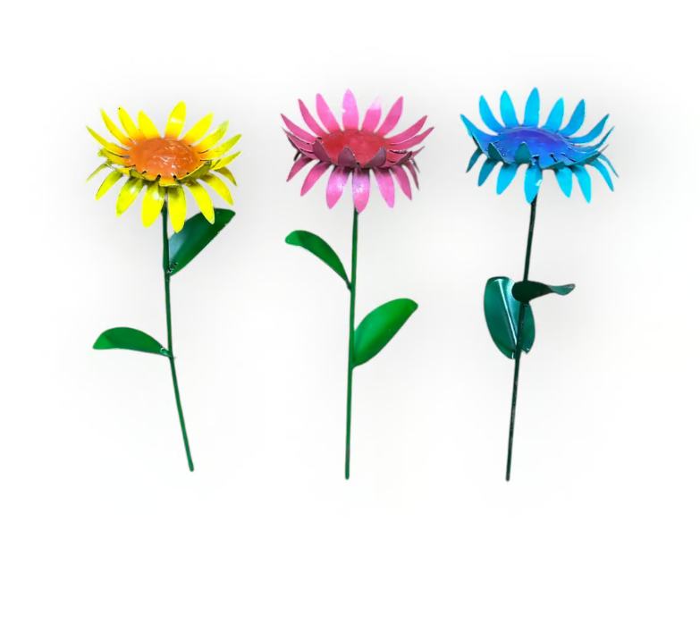 Daisy Flower