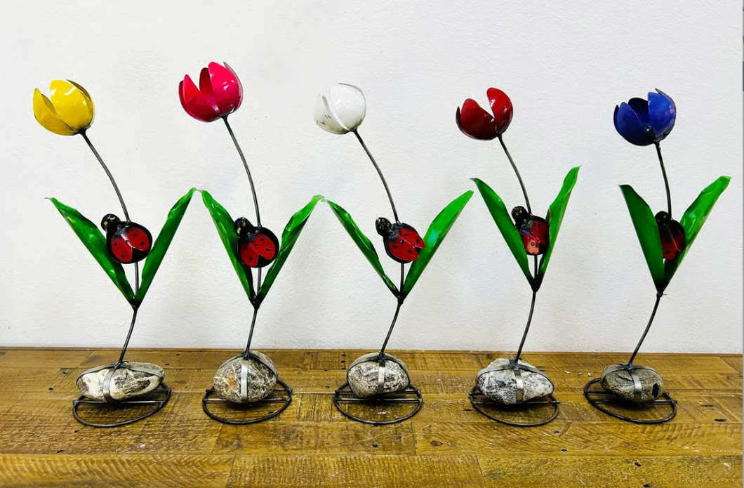 Tulips