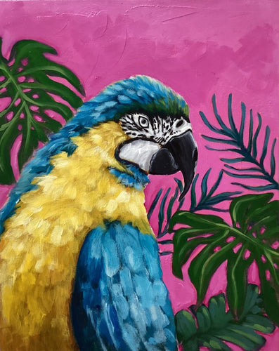 Sky the Parrot