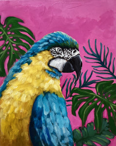 Sky the Parrot