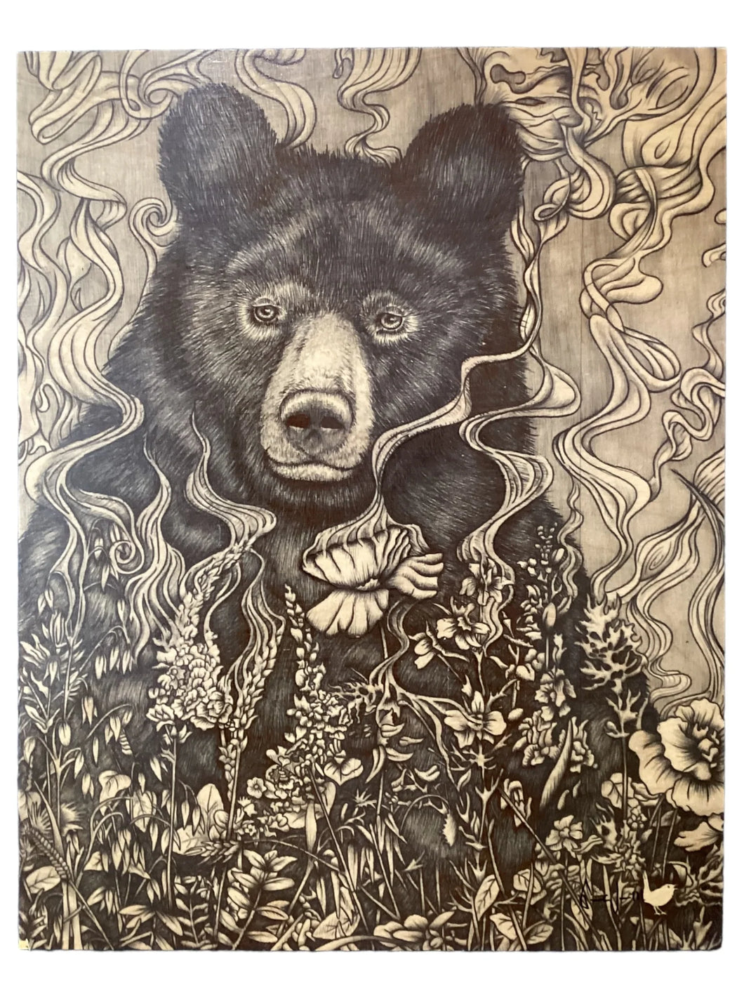 Black Bear - B&W