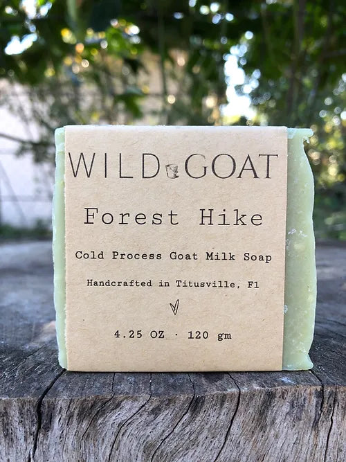 Forest Hike