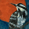 Woodpecker