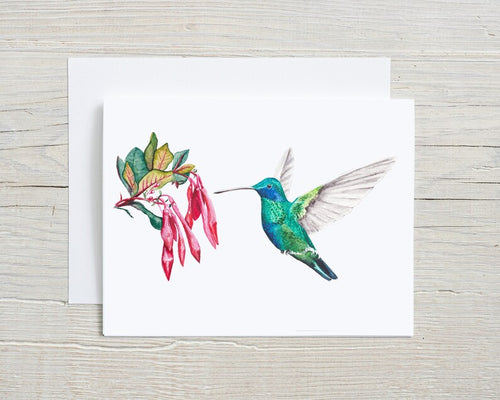 Turquoise Hummingbird Greeting Card
