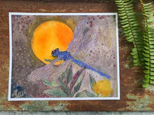 Dragonfly Sunrise