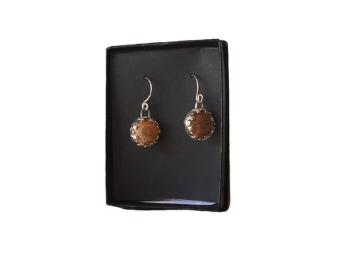 Fossilized Coral Earrings