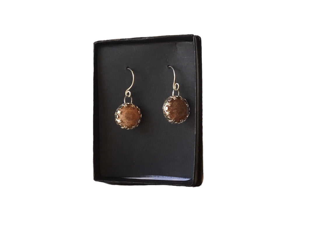 Fossilized Coral Earrings