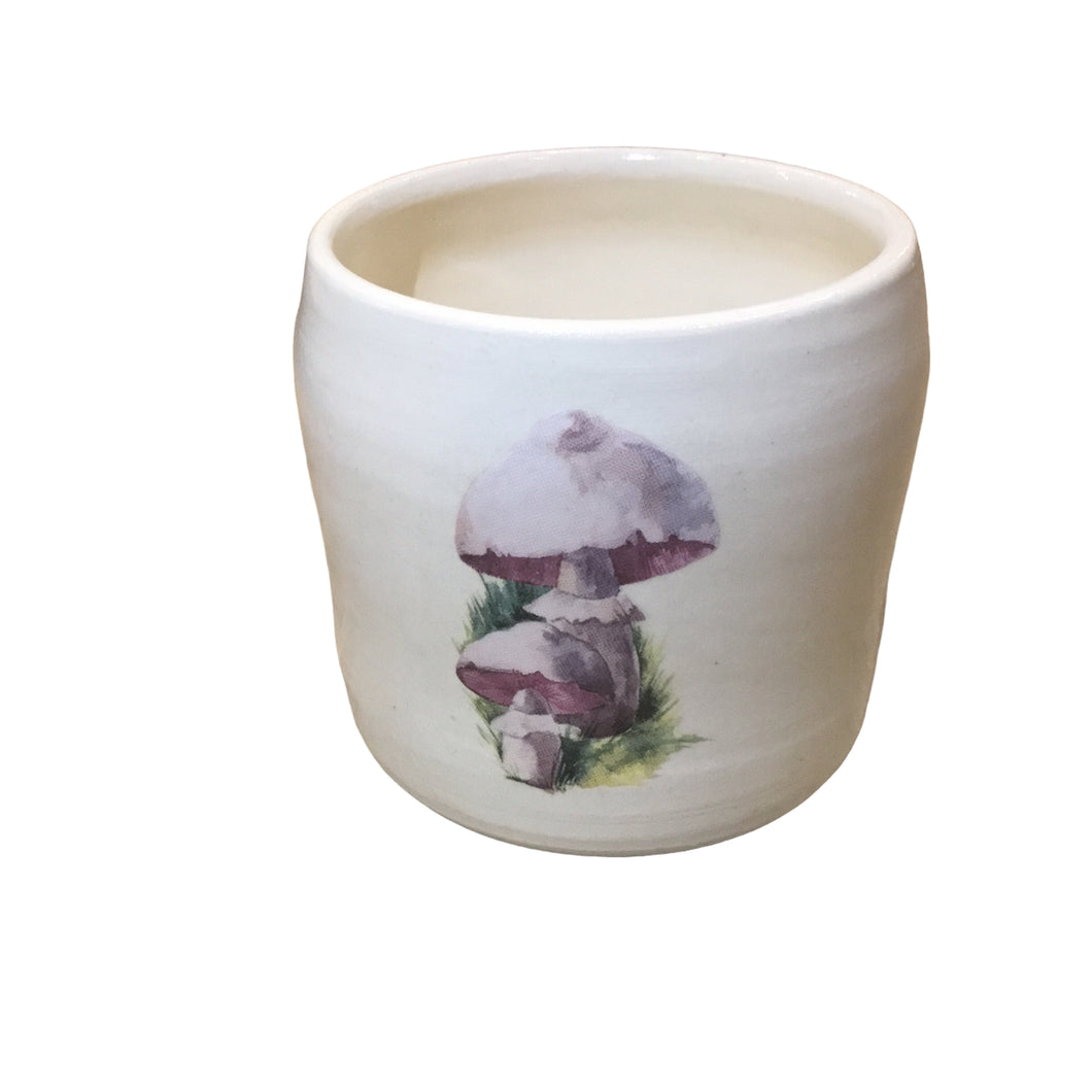 Mushroom White Cup