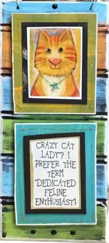 Crazy Cat Lady