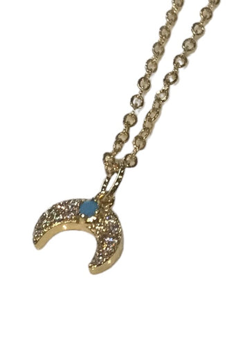 Gold and Turquoise Horn Necklace