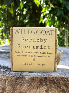 Scrubby Spearmint