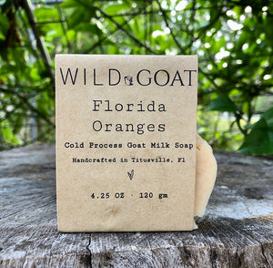 Florida Oranges