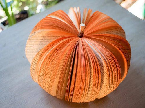 Book Pumpkin Rustic - Small