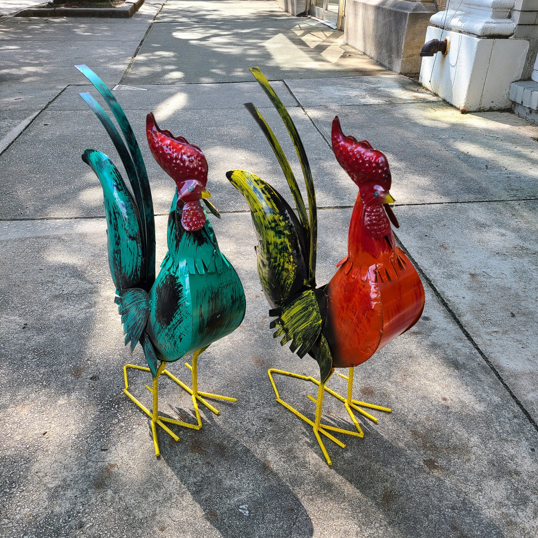 Rooster