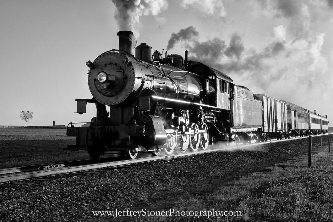 Aglow in the Morning Light