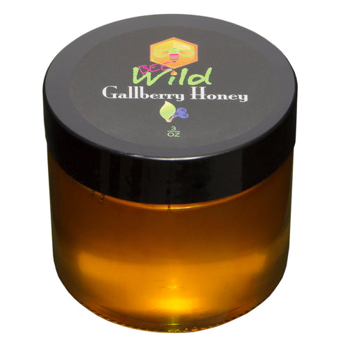 Raw Gallberry Honey - 3oz
