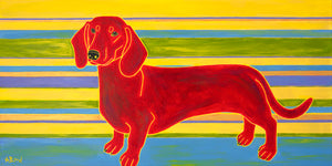 "Clever Compadre" - Dachshund Print