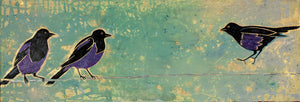 "Coming in for a Landing" - Magpie Matted Print