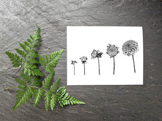 Dahlia Greeting Card