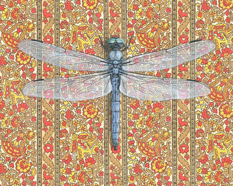 Dragonfly Large Print