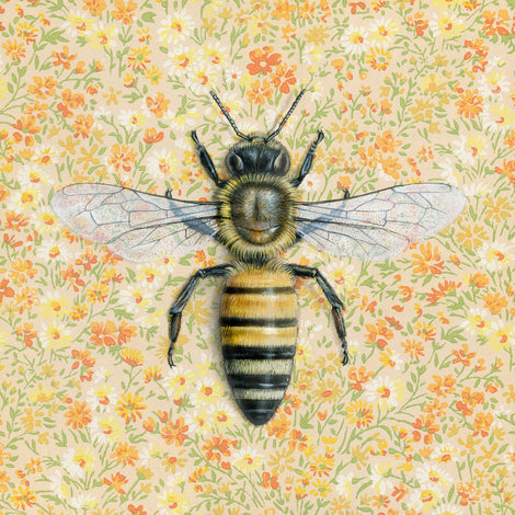 Honeybee Large Print
