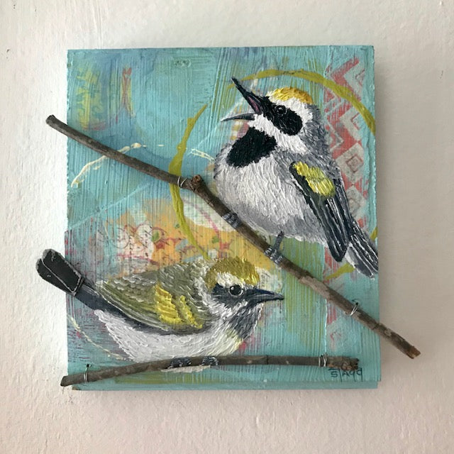 Golden Winged Warbler