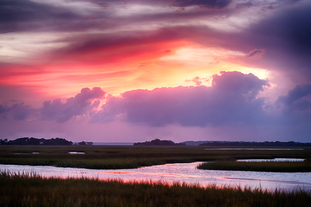 Marsh of Many Colors
