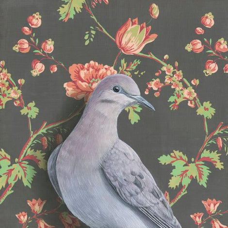 Morning Dove Print