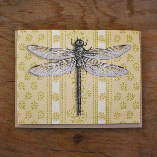 *Notecard - Dragonfly
