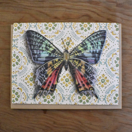 *Notecard - Sunset Moth