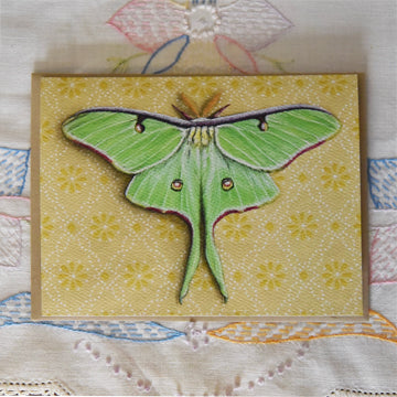 *Notecard - Luna Moth