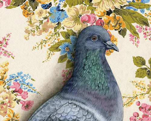 Pigeon Large Print