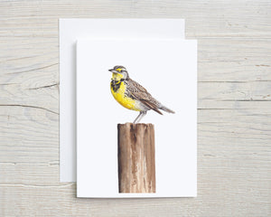 Western Meadowlark Greeting Card