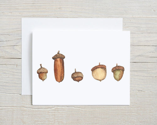 Acorns Greeting Card