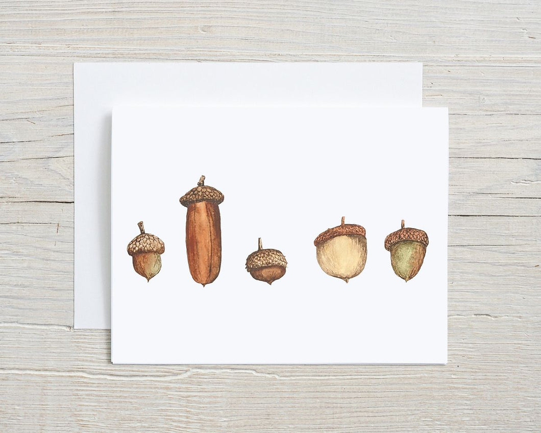 Acorns Greeting Card