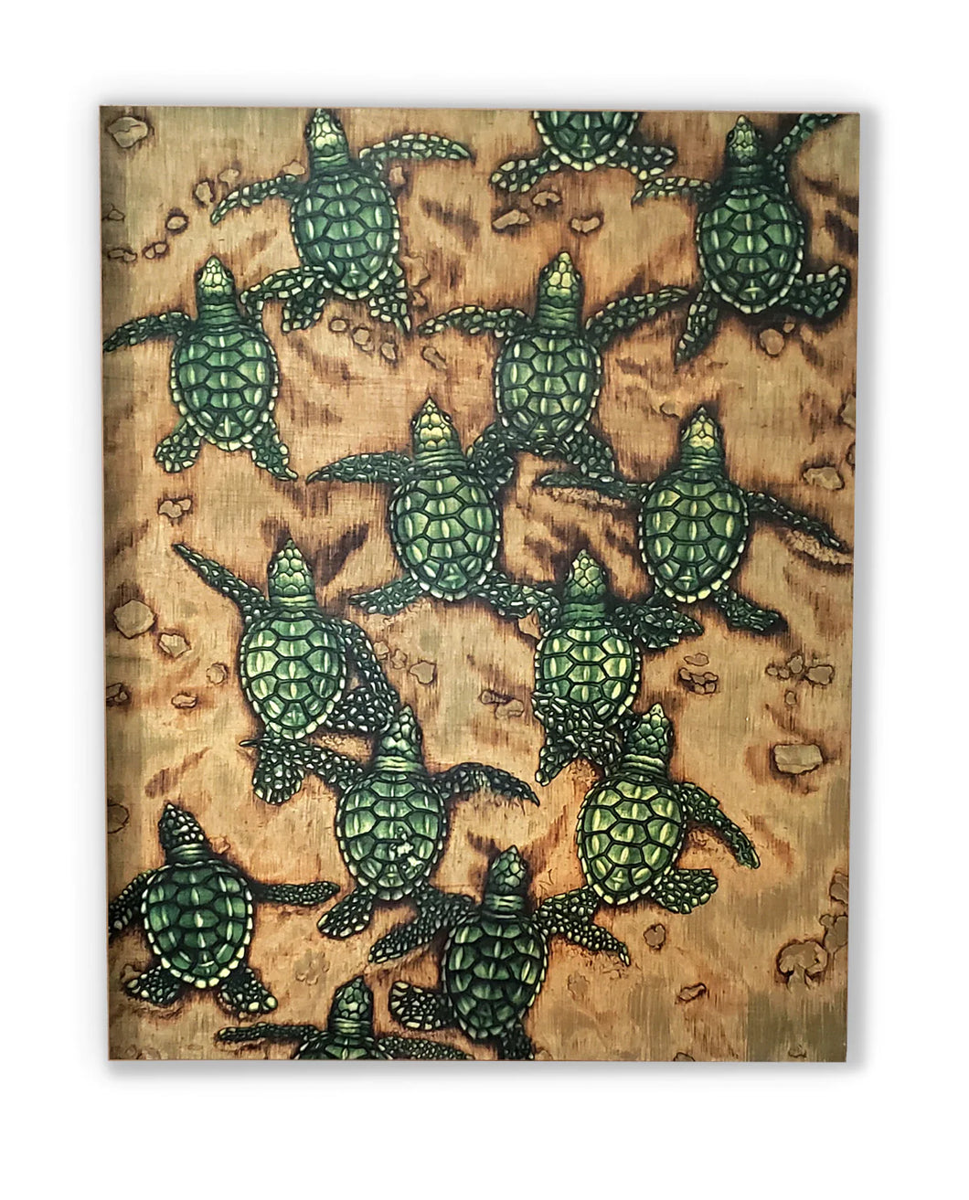 Baby Turtles-Green