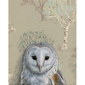 Barn Owl